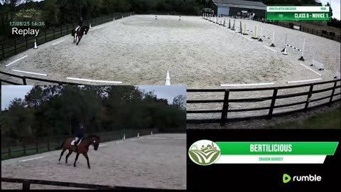 Mousehold Farm All Weather Riding arena