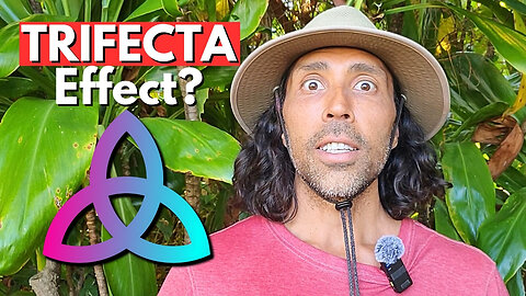 3 Superior Anti-Cancer Foods They Try to HIDE!